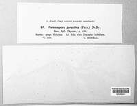 Image Associated With the Occurence
